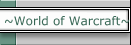 ~World of Warcraft~